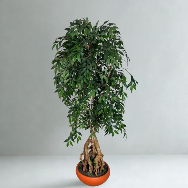 Käytetty tekokasvi - 175 cm